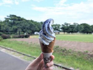 フラワーソフト　ラベンダー