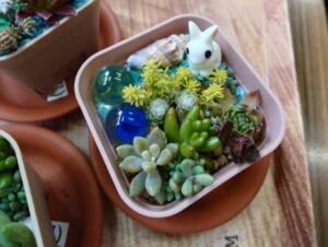 多肉植物を使ったウサギのガーデンづくり