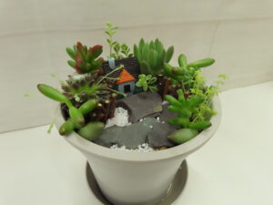 多肉植物のミニチュアガーデン