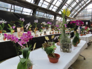 今年度の展示会場