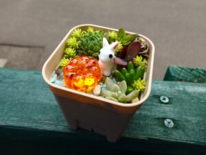 多肉植物を使ったミニチュアガーデンづくりハロウィンバージョン