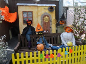 温室内のハロウインディスプレイ