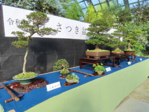 会場に並ぶ作品の様子