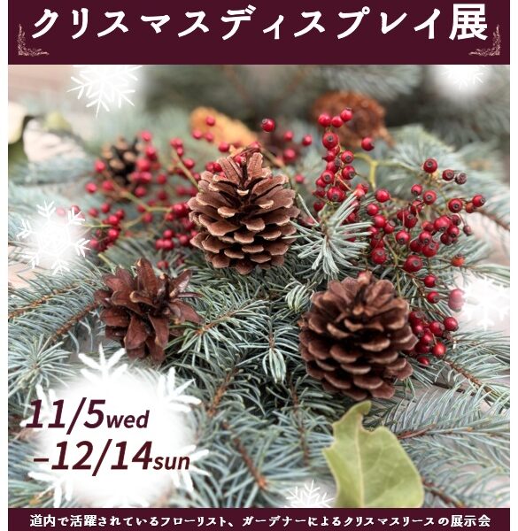 百合が原公園のクリスマス(2025年11月1日)