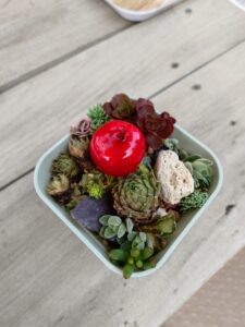 リンゴ付きの多肉植物の寄せ植え