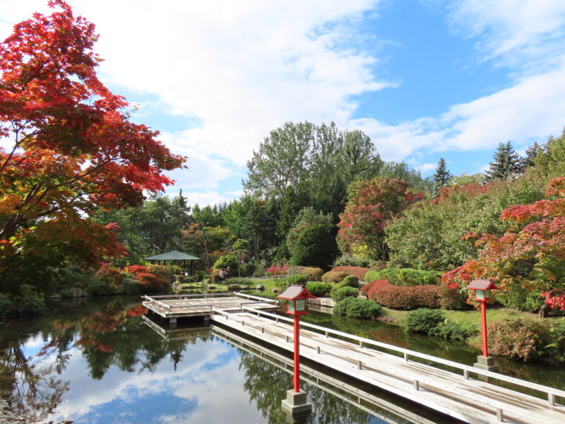 百合が原公園の紅葉情報（2025年10月22日）