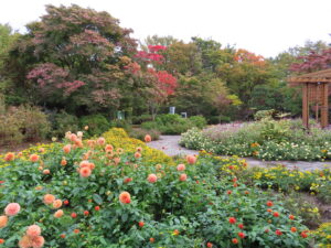 ポートランド庭園