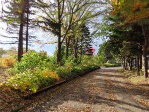 花木園の園路