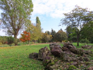 リーガルリリーの花壇