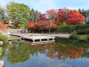 本日の日本庭園