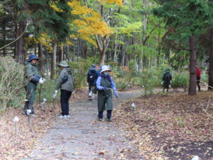 公園ボランティアローズヒップさん、今年度最終活動日