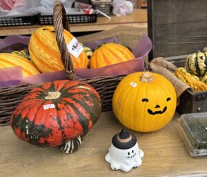 ハロウインカボチャ 