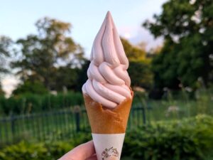 フラワーソフト(ビーツ)