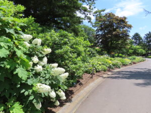 世界の庭園ボーダー花壇