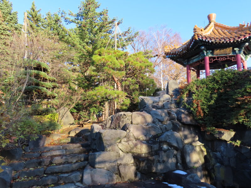 百合が原公園の冬支度(2025年11月12日)