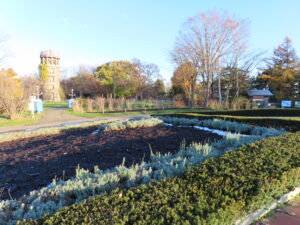世界の百合広場の星形花壇