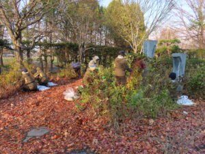 ウツギの冬囲い