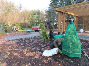 ポートランド庭園の冬囲い作業