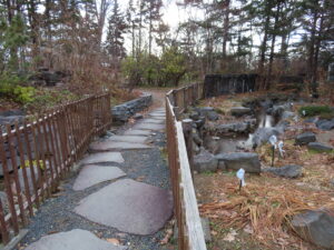 ロックガーデン奥の池周辺にシモバシラ