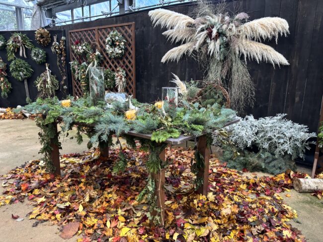 フローリストたちのナチュラルリース【クリスマスディスプレイ展】は明日11月5日から(2025年11月4日)