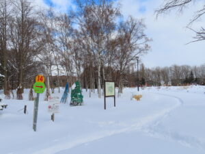 歩くスキーコースの様子