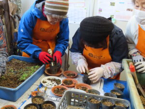 ポット上げの様子