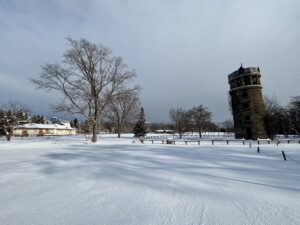 今朝の芝生広場の風景