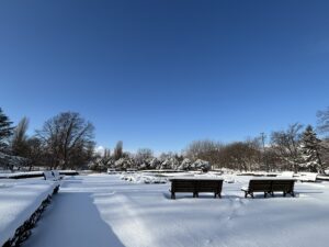 星形花壇では青空がきれいに広がる