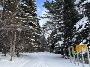 歩くスキーコーススタート地点