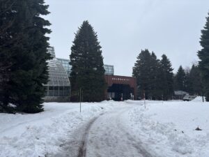 本日の百合が原緑のセンターの様子