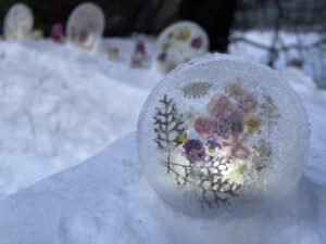 パンジーやビオラも花材として