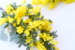 ミモザガーランド