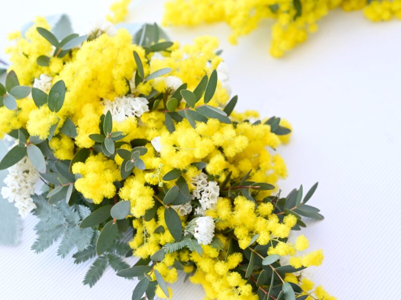 1月開催イベント情報（2025年12月26日）