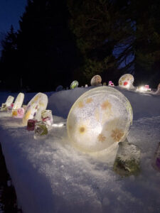 ライトアップされた氷中花