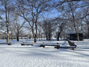 ムスカリの道の雪景色
