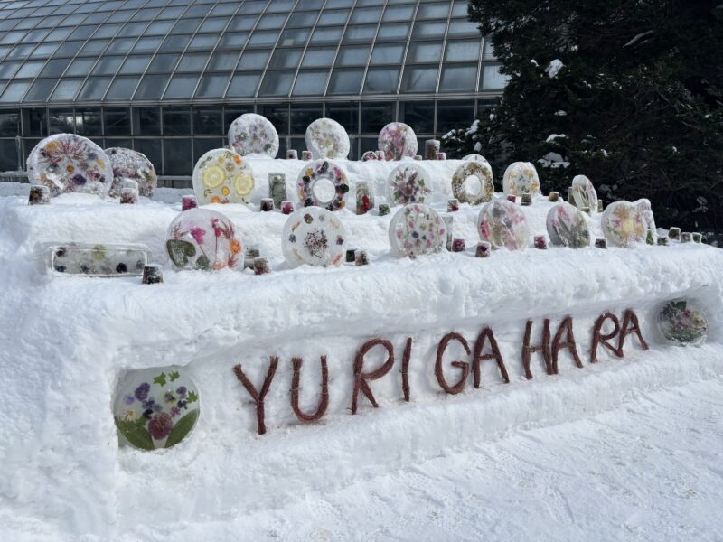 本日から【アイスキャンドルの点灯】開催（2026年1月20日）