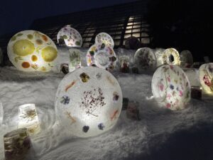 ライトアップされている氷板作品