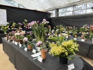 市民ラン展会場