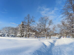 一面銀世界の百合広場