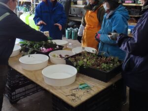 ボランティア活動の様子