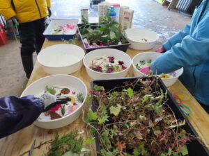 ボランティア活動の様子