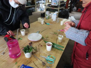 紙コップで氷中花づくり