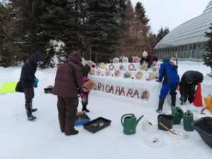 氷中花の展示準備の様子