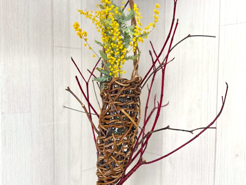 2月11日から開始、講習会参加者募集のお知らせ（2026年2月7日）