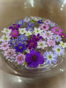 雪割草のフローティングフラワー