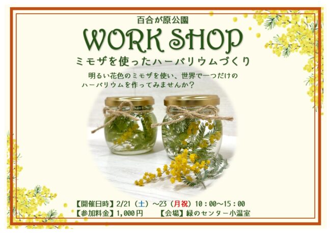 ミモザの季節のワークショップ、特別開催！（2026年2月20日）
