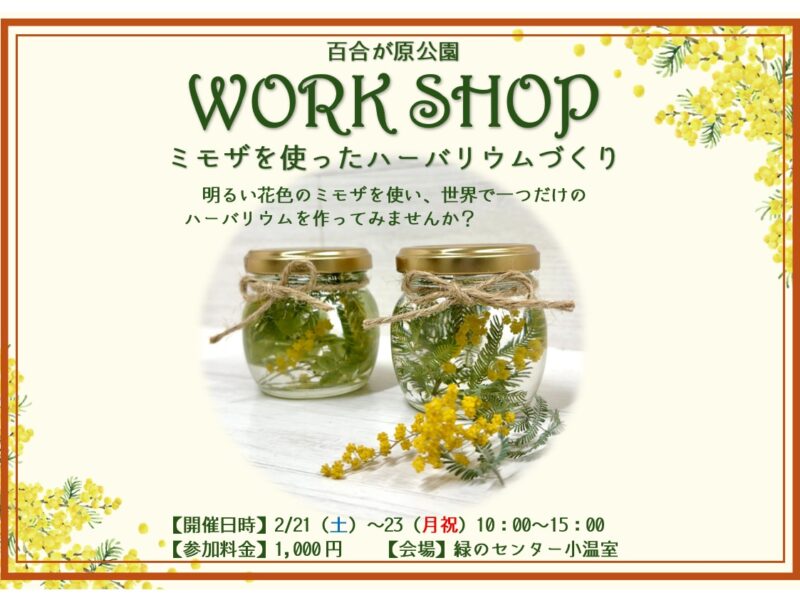 ミモザの季節のワークショップ、特別開催！（2026年2月20日）