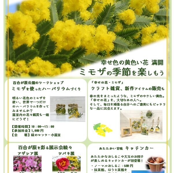 今週末のイベント情報(2026年2月27日)