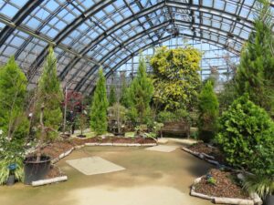 本日の大温室の様子