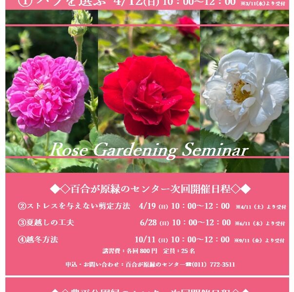 春のバラ講習、クリーンアップ参加者の募集が始まります（2026年3月10日）